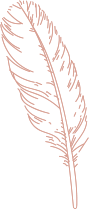 Book Feather